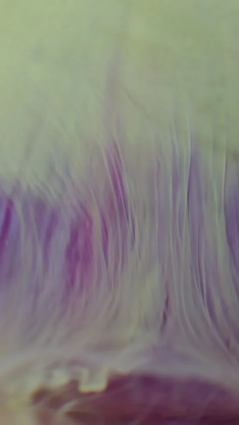 Vertical pigment fluid drip defocused swirl paint Stock-Footage 339769462
