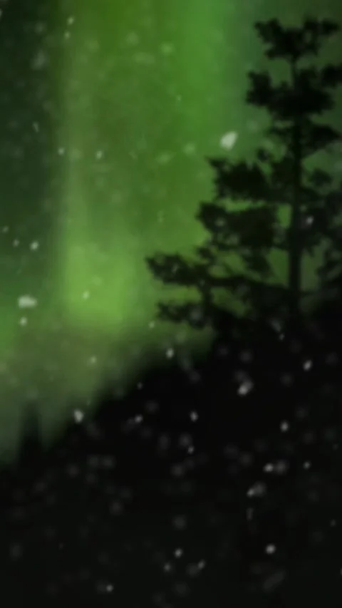 Vertical Pine Forest Silhouette with Aurora Borealis and Snow 4K Video stock 276285445