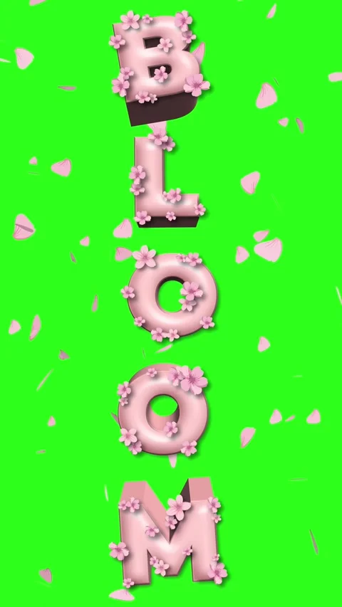 Vertical Pink Bloom Text Animation with Falling Cherry Blossom Petals Stockbeeldmateriaal 337447196