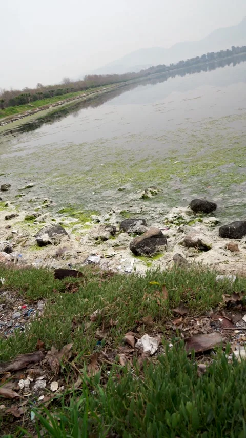 Vertical Plastic waste and trash on the lake shore Stock Footage 326444787