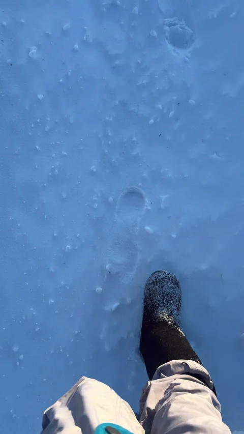 Vertical: Point of view walking in morning winter setting. Beautiful snowy trail Stock Footage 280779034