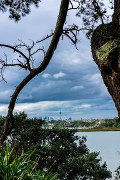 Vertical of portrait aspect ratio image of distant Auckland City skyline fr.. Stock Photos