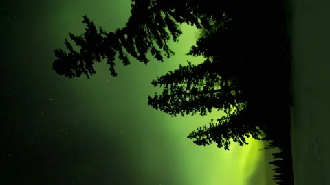 Vertical portrait format of green and yellow Aurora swirling behind silhouettes Stock Footage 221149653