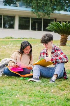 Vertical portrait of a student couple learning the lesson sitting on the lawn at Stock-Fotos