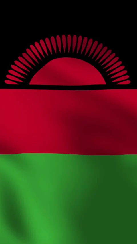 Vertical, portrait video waving national flag of Malawi. Stock Footage 280461853