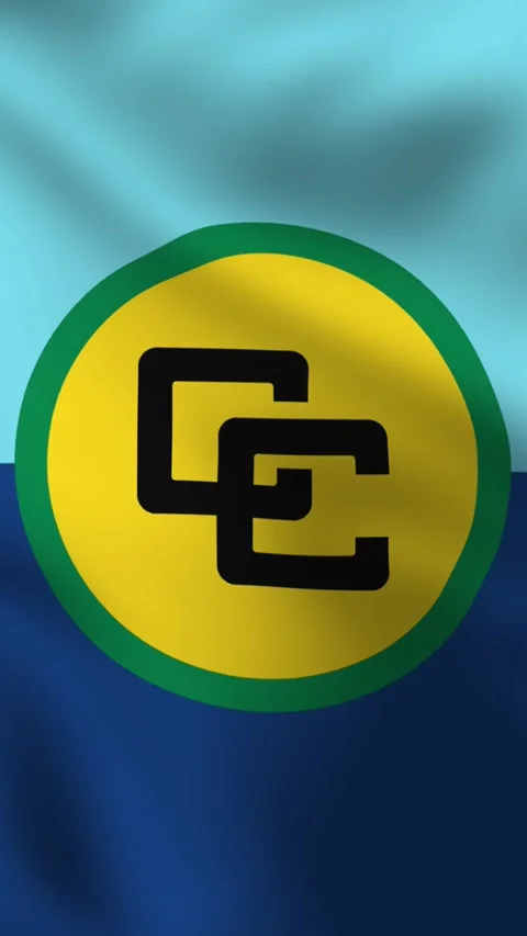 Vertical, portrait, waving flag of Caribbean Community. 動画素材 277071052