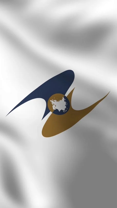 Vertical, portrait, waving flag of Eurasian Economic Union. 動画素材 277071166