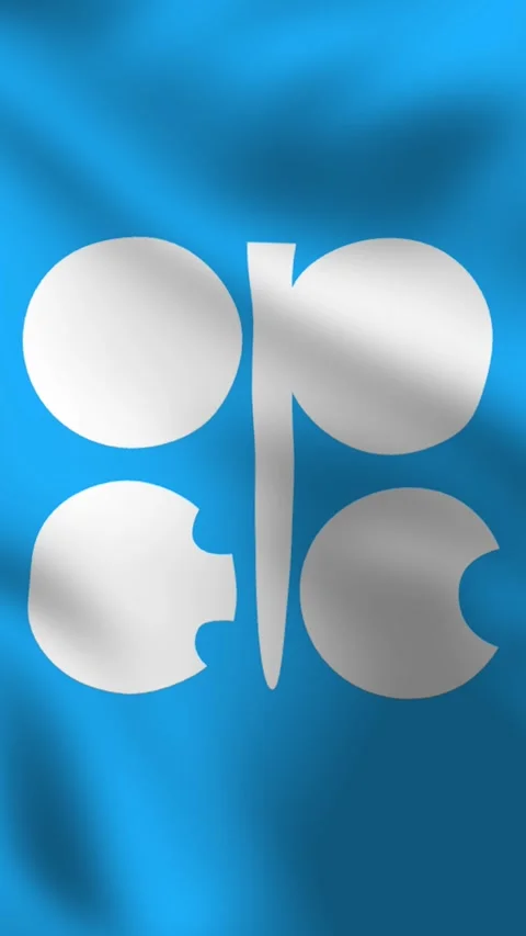 Vertical, portrait, waving flag of Organization of Petroleum Exporting Countries 動画素材 277071208