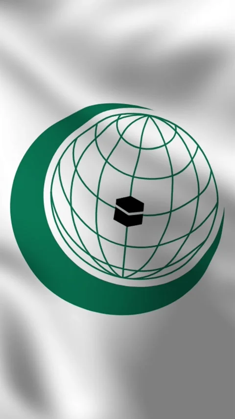 Vertical, portrait, waving flag of Organization of Islamic Cooperation. Stock Footage 277071438
