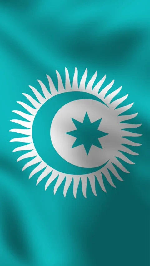 Vertical, portrait, waving flag of Organization of Turkic State. Vidéo 277071439