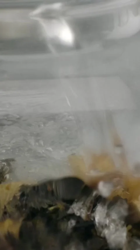 Vertical of Pouring boiling water into the brew of white tea with fruit in a Stock Footage 276934170