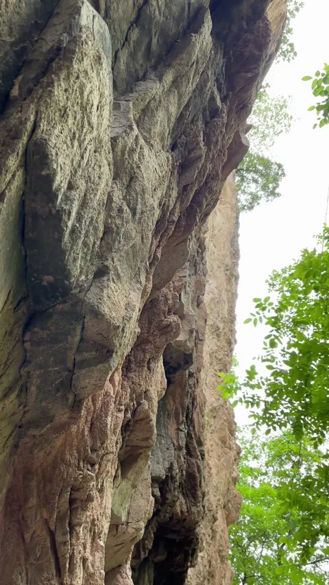 Vertical POV looking up at steep rock cliff face in forest Видео 335854327
