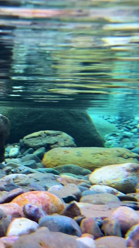 Vertical POV submerging underwater to look at colourful rocks and small fish 库存影片 345172072