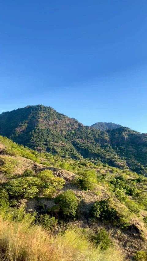 Vertical POV Tilt Up Walking Trail to Mountain View Bali Stock Footage 335941202