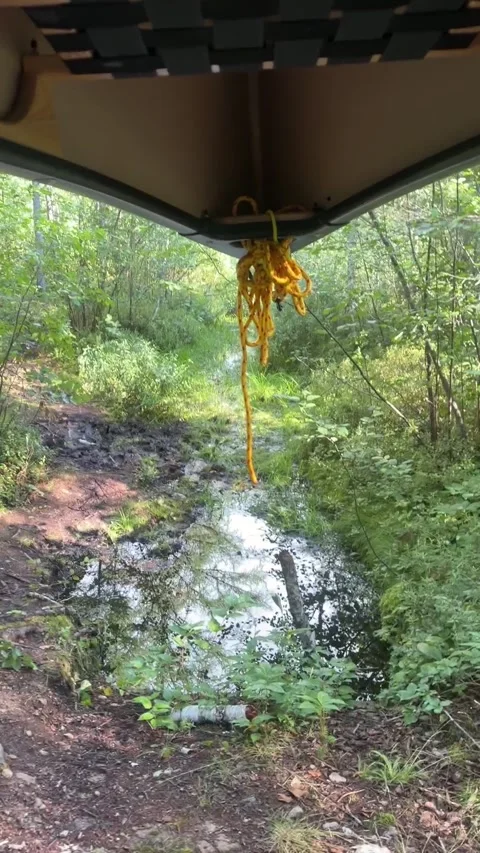 Vertical POV Tracking Shot Portageing Canoe Over Water Hole Ontario Stock Footage 346807134