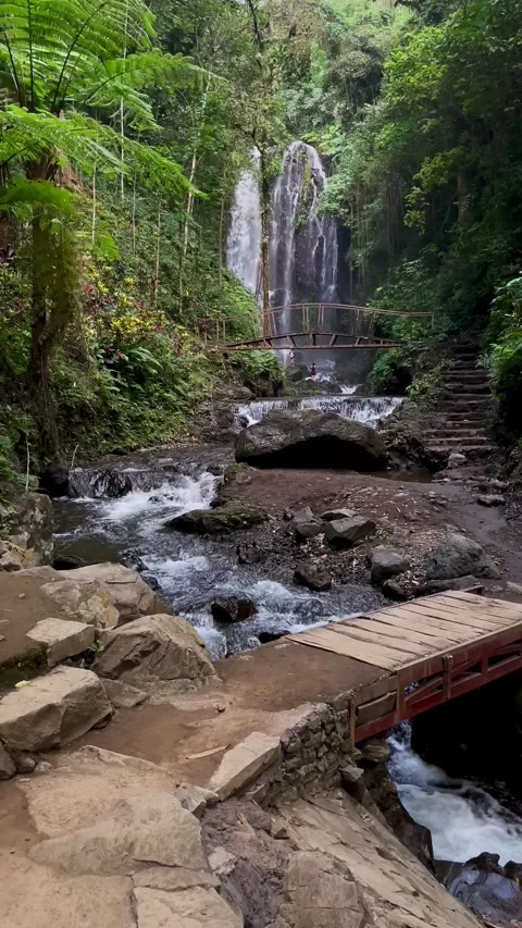 Vertical POV View Walking Toward Tropical Waterfall In Bali Forest Stock-Footage 342194945