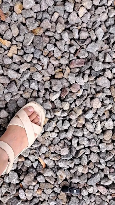 Vertical POV Walking on Pebble Stone Path Stock Footage 331416270