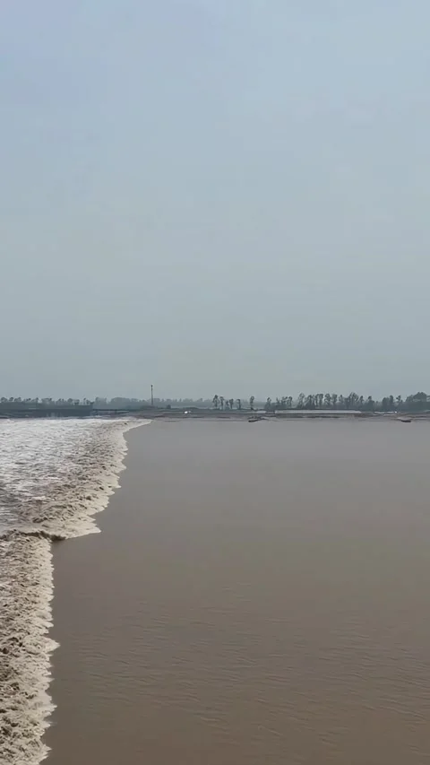 Vertical Powerful Muddy Waves Roaring During Qiantang River High Tide Vídeos de archivo 335253471