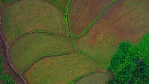 Vertical pull up drone shot reveal field shapes day b-roll Stock Footage 169620307