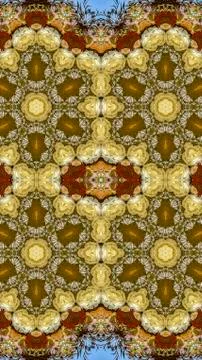 Vertical Quadruple hexagonal flowers in circular arrangement at wedding in 写真素材