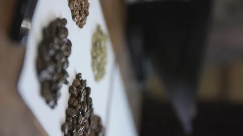Vertical, rack focus between piles of different types of coffee beans laid Stock Footage 240842333