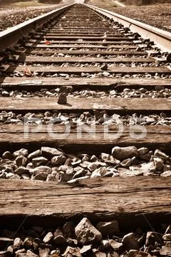 Vertical railroad track in fall Stock Photos