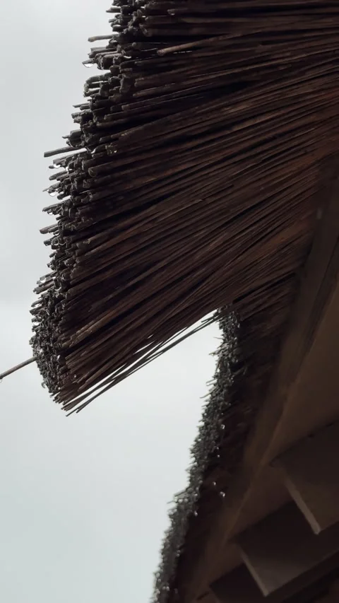 Vertical. Raindrops falling down from straw roof close up. Stock Footage 336980324