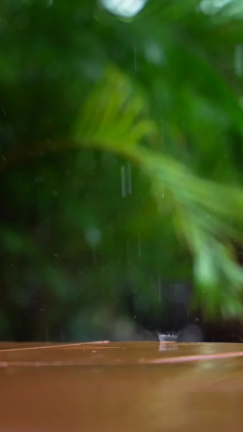 Vertical raindrops falling on the tiled floor of the outside balcony. Rainy Stock Footage 292593120