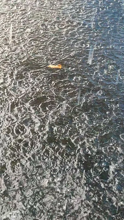 Vertical Rainfall on Asphalt Parking Video stock 329906551