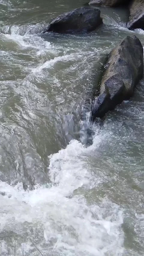 Vertical Rapids River Water Texture Stone Background Lush Freshwater meditative Stock Footage 341877156
