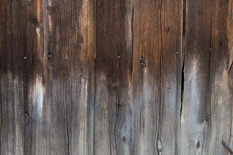 Vertical raw Board Foto stock