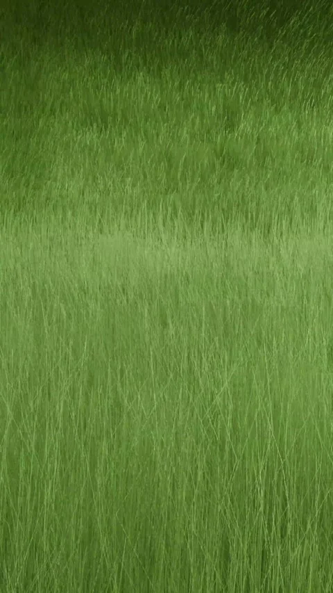 Vertical Realistic 3D Green Grass Swaying Wind 4K Loop Stock-Footage 342571589