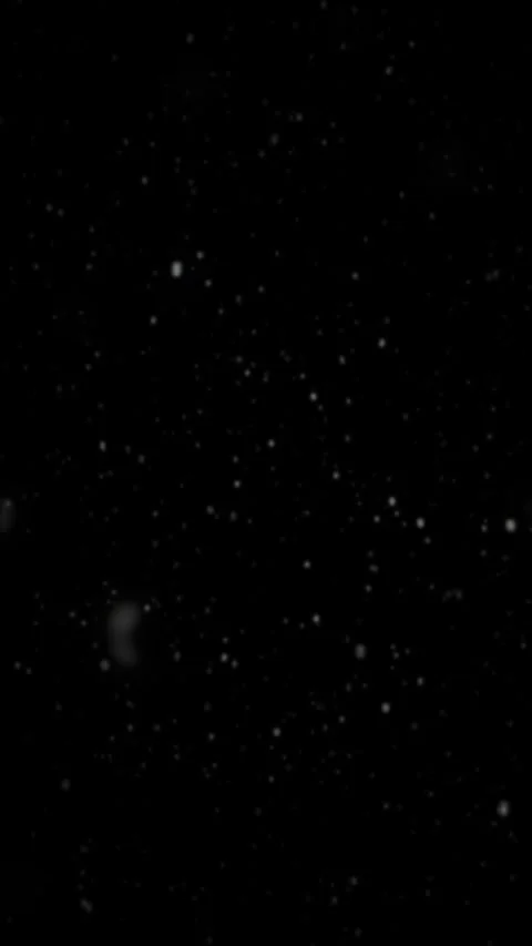 Vertical Realistic Slow Snowfall Winter 4K Seamless Loop Overlay Video stock 333613141