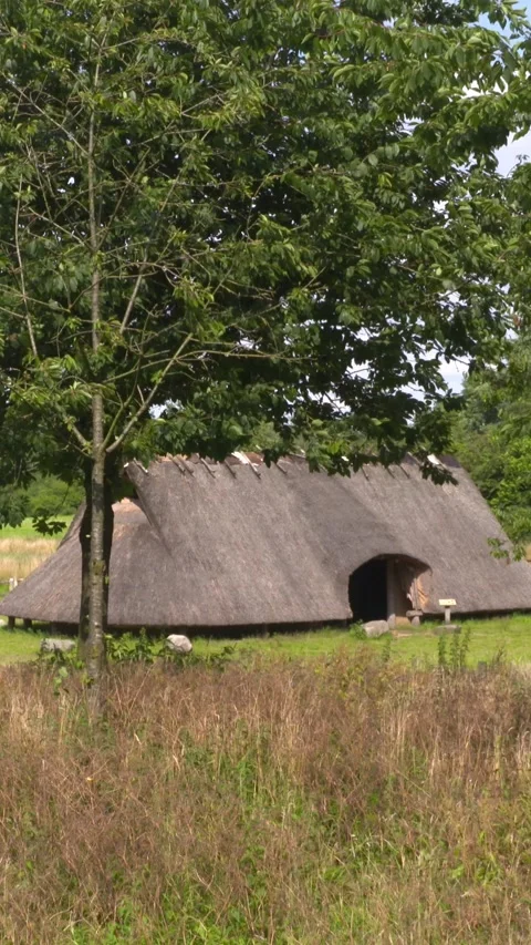 Vertical - a reconstructed iron age settlement Video stock 310354608