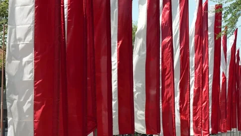 Vertical red and white flags Indonesia Umbul-umbul national flag Sang Saka 库存影片 336555989