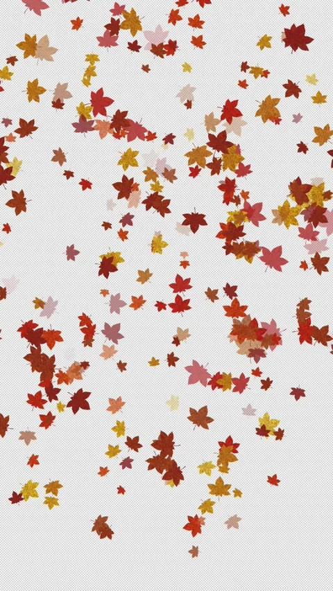 Vertical Red Maple Leaves Transparent Falling Loop Stock Footage 319885463
