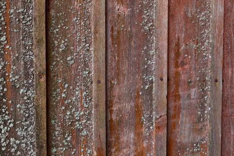 Vertical red plank wall with mold Stock Photos