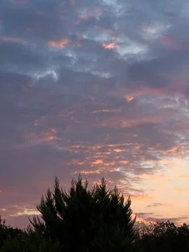 Vertical red sky Stock Photos