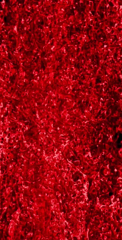 Vertical Red Waterfall Rising Loop Background Animation Stock Footage 283529405
