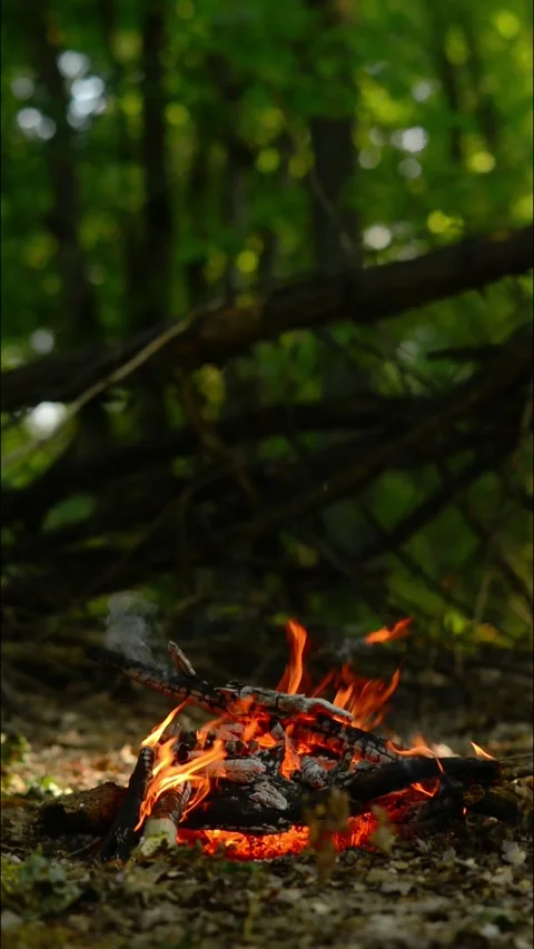Vertical Relaxing Campfire with Smoke Loop Stock-Footage 343343417