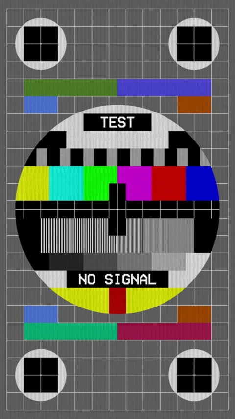 Vertical Retro CRT Television Color Test Screen No Signal Stock Footage 325987853