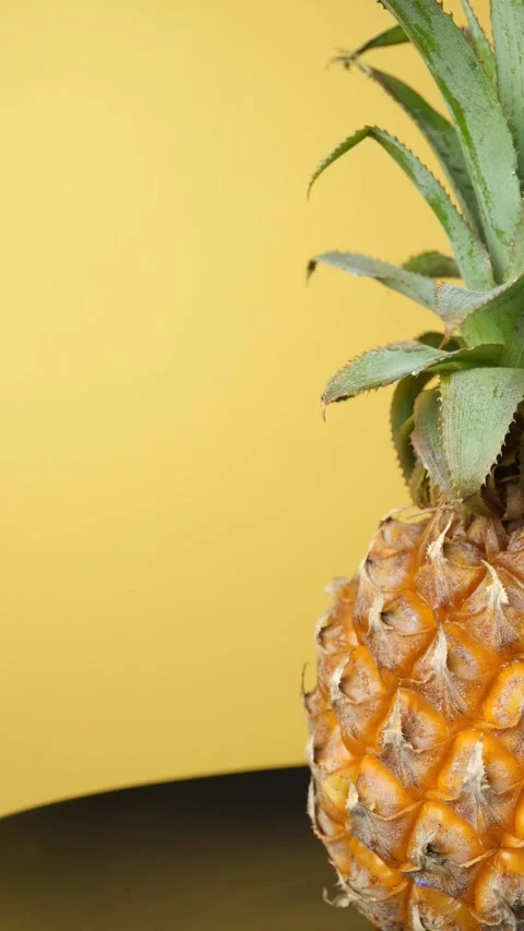 Vertical ripe pineapple rotating with copy space on yellow background Stock Footage 336615186