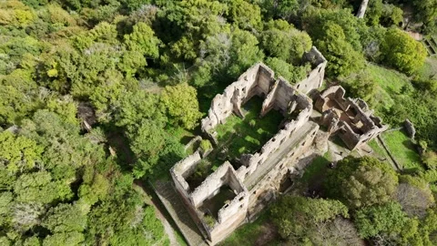 Vertical Rise With Downward Camera Tilt Over Ruins Video stock 320496841
