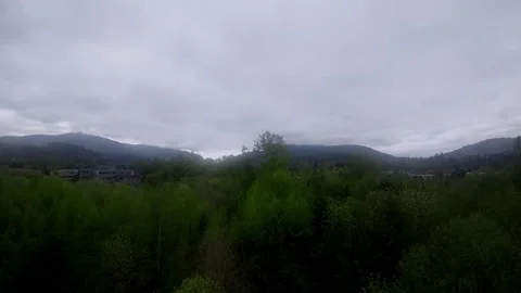 Vertical Rise from Drone from Forested Area to Suburbs Stock Footage 240685353