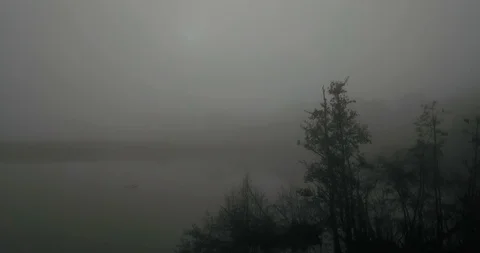 Vertical Rise over tree revealing misty lake Stock Footage 103273181