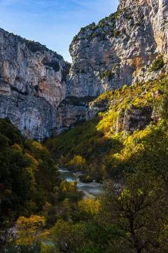Vertical of a river flowing through trees in the Blanc-Martel trail in La Palud- Foto stock