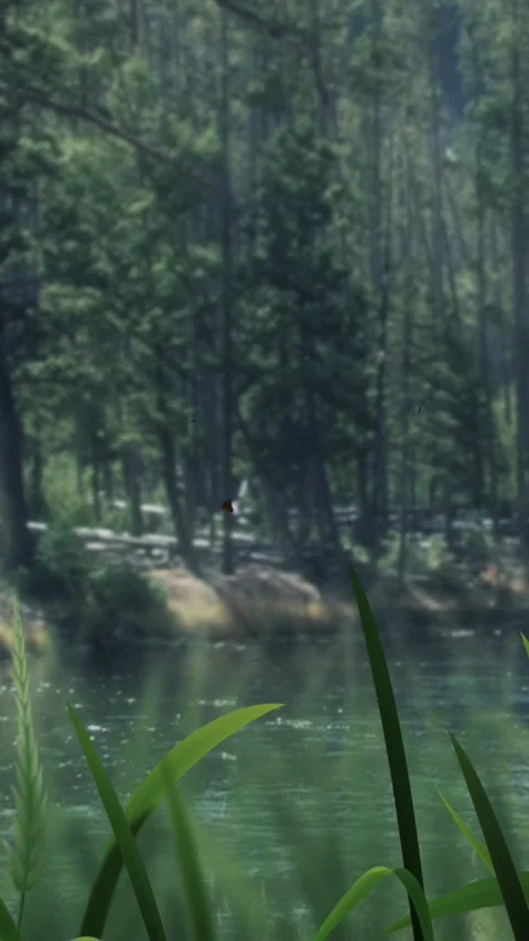 Vertical River in Pine Forest at Dusk 4K Loop Stock Footage 278192968