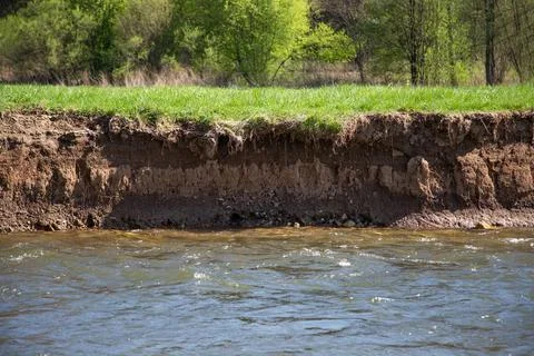 A vertical riverbank with steep wall of dirt suitable for nesting of kingfisher Stock Photos