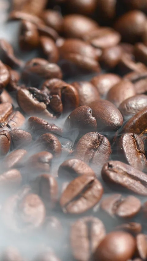 Vertical roasted coffee beans or seeds background with white smoke texture Stock Footage 308060099