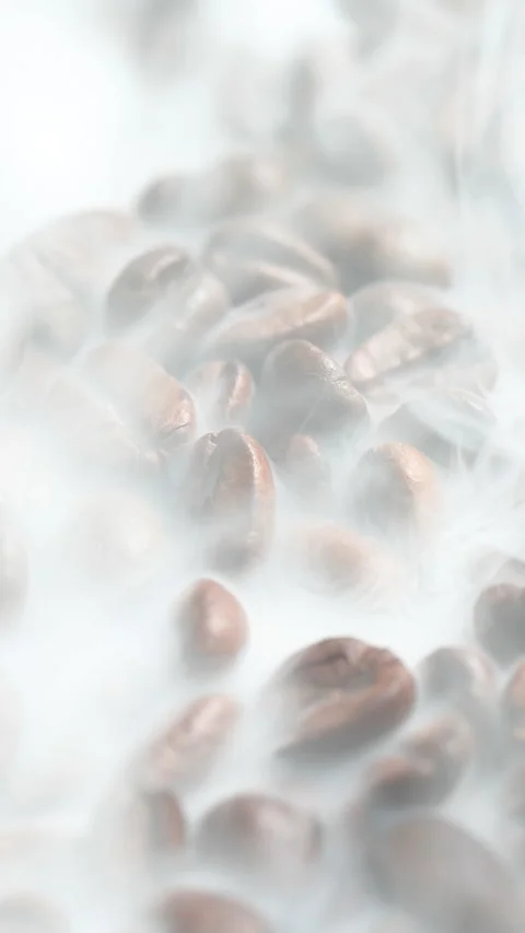 Vertical roasted coffee beans or seeds background with white smoke texture Stock Footage 309845179